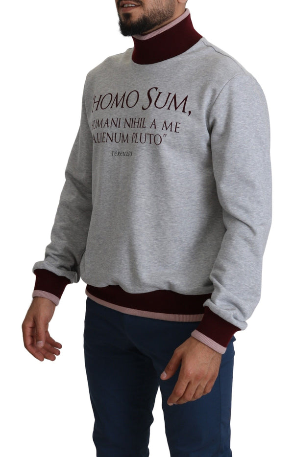 Eleganter grauer Rollkragenpullover lateinischer Motivpullover