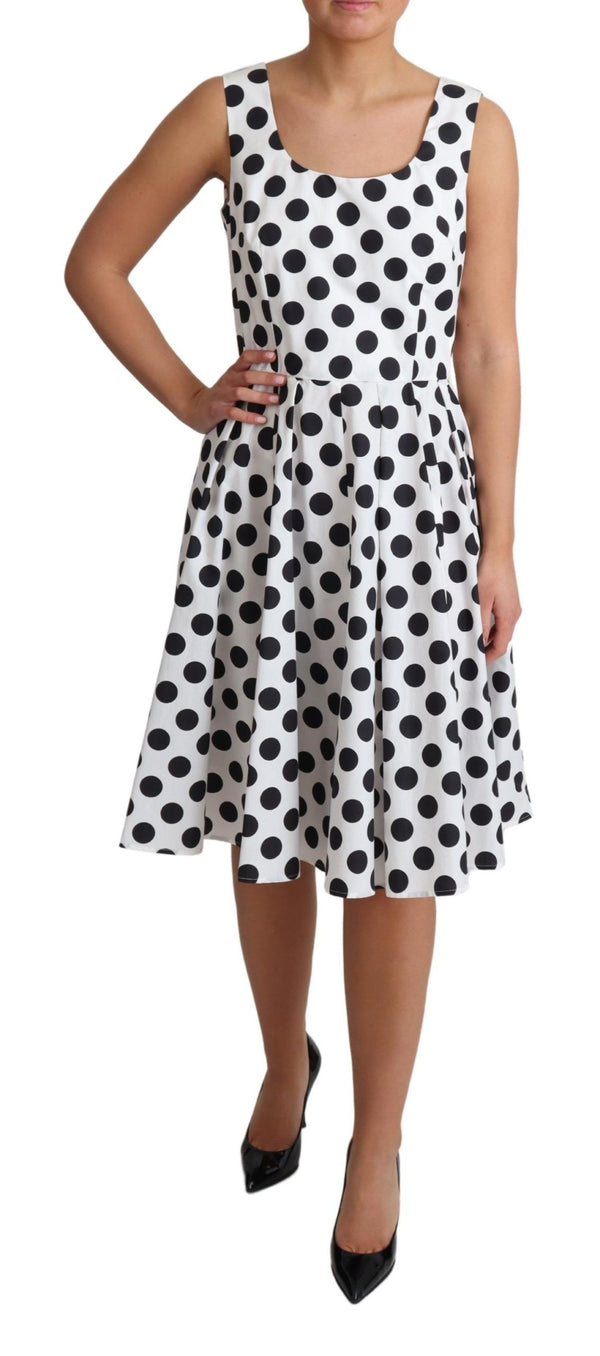 Elegant Polka Dot Sleeveless A-Line Dress