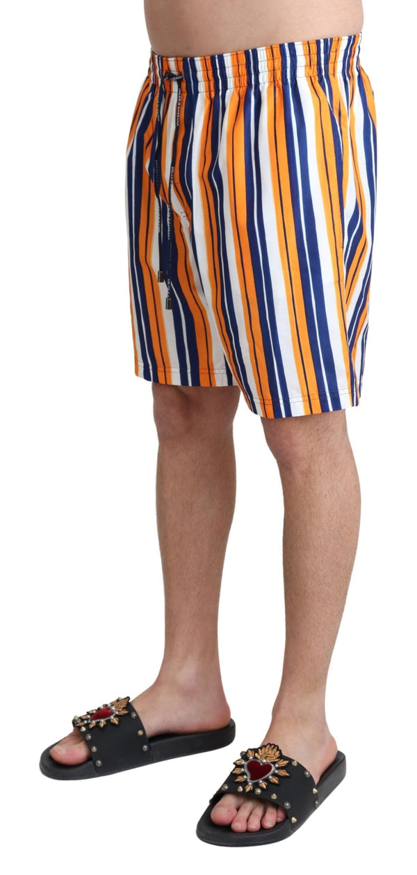 Multicolor gestreifte Schwimmshorts Trunks