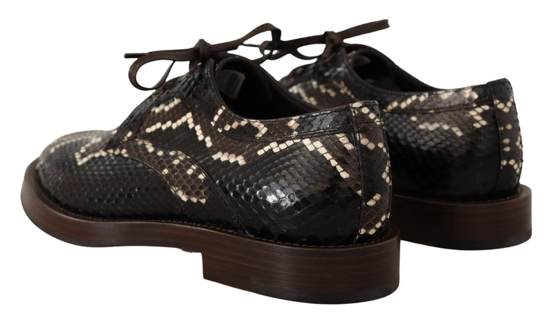 Elegante formelle Python -Derby -Schuhe