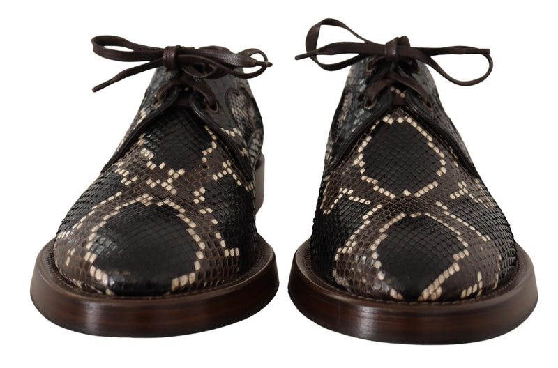 Elegante formelle Python -Derby -Schuhe