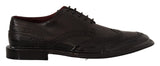 Eleganti vitelli Derby Oxford Wingtips