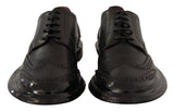 Eleganti vitelli Derby Oxford Wingtips