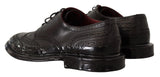 Elegantes Kalbskalfell Derby Oxford Wingtips