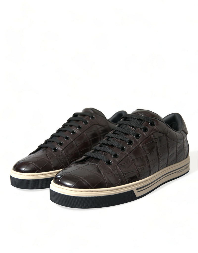 Eleganti sneaker esotiche in pelle bassa