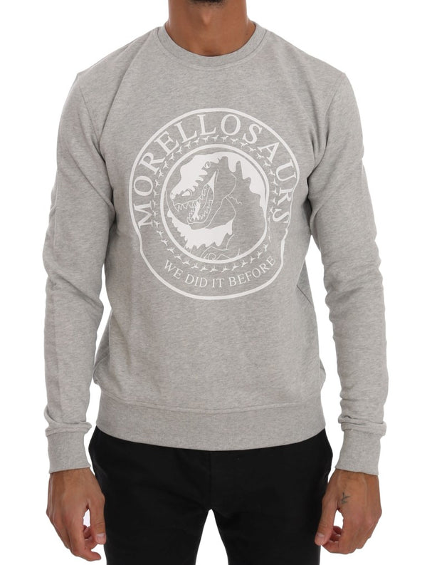 Maglione di cotone in equilibrio Morellosaurs chic