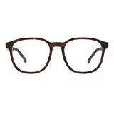 Brown Acetate Sunglasses