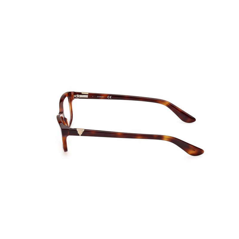 Brown Plastic Sunglasses