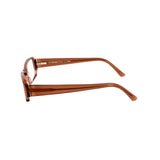 Brown Plastic Sunglasses