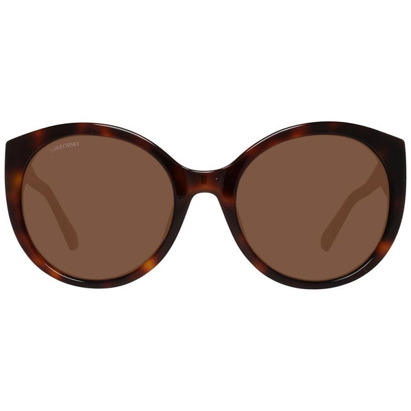 Brown Plastic Sunglasses