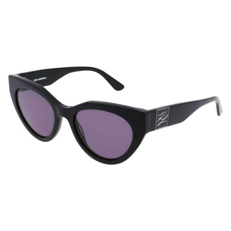 Black Acetate Sunglasses