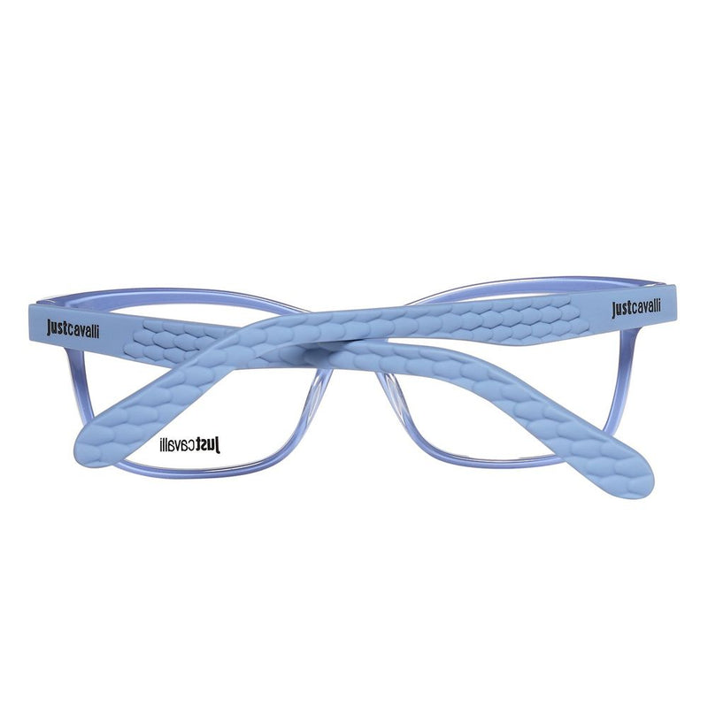 Blue Plastic Frames