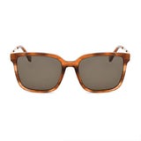 Brown Acetate Sunglasses